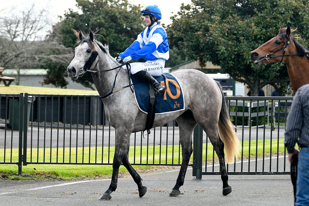 Logan Racing Stables (@logan__racing) on Twitter photo No masking that win! 🎭
White Mask breaks through at <a href="/PukekohePark/">Pukekohe Park</a> with a sharp ride by Hayley Hassman!
Big thanks to <a href="/WestburyStud/">Westbury Stud</a>, our awesome home team & KB who was on strapping duties.
4 wins from 8 races for Byerley Park runners — what a day! 🏆
📸: Race Images NZ No masking that win! 🎭
White Mask breaks through at <a href="/PukekohePark/">Pukekohe Park</a> with a sharp ride by Hayley Hassman!
Big thanks to <a href="/WestburyStud/">Westbury Stud</a>, our awesome home team & KB who was on strapping duties.
4 wins from 8 races for Byerley Park runners — what a day! 🏆
📸: Race Images NZ