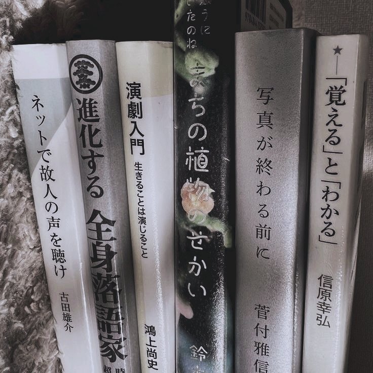 Yuyu, Hadid Dwn. tweet media