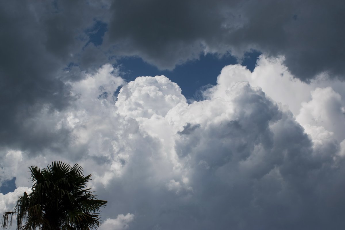 15h30 : ce n'est pas une surprise, les cumulus prennent de plus en plus d'ampleur. Il fait 36° 🥵