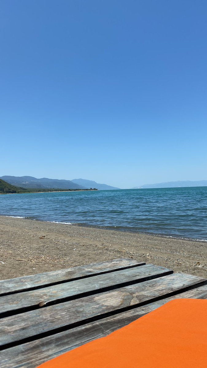 Summer aradı bende geldim