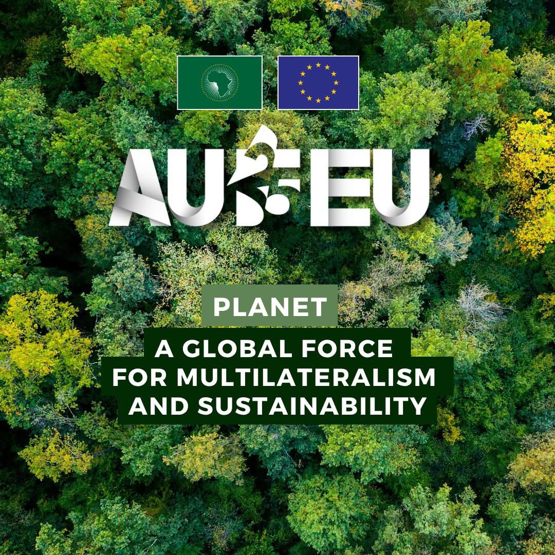 European Union in Zambia tweet media