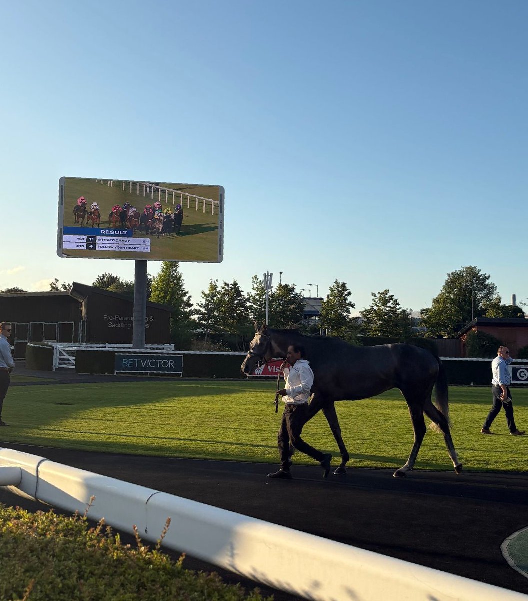 WS_WilsonScott's tweet photo. Wilson &amp; Scott Race Day 2025 🐎☀️

Events like these are more than just a day out, they’re a celebration of the people who make Wilson &amp; Scott such a strong and supportive team. Here's to many more moments like this ahead! 

 #races2025 #wilsonandscott #customer #socialvalue https://t.co/z9PZvcaota