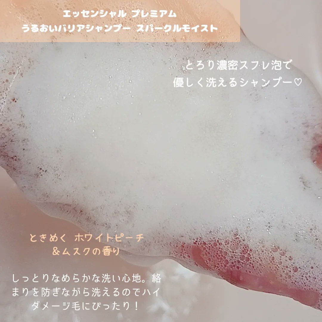 mamelody tweet media