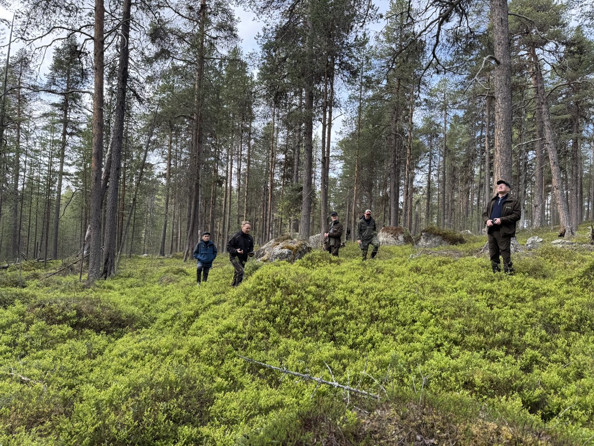 Sapmi-työryhmän ja Hammastunturin pk-edustajan kanssa keskustelemassa vanhojen metsien inventoinnista, poronhoidosta ja niihin liittyvistä haasteista. Kiitos ,<a href="/JanSaijets/">Jan Saijets | Máhte-Per-Jovnna-Janne</a> <a href="/JuhaLansman/">Juha Länsman</a> Jarmo Pyykkö ja Lauri Lehtola hyvin valituista kohteista ja rakentavista keskusteluista👍