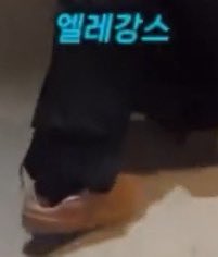 로피 tweet media
