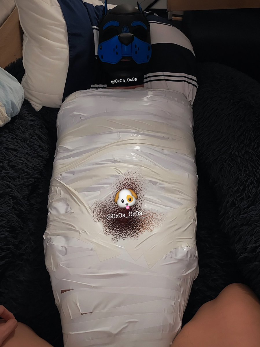 My master <a href="/RonranokJ/">Isomanic</a> said I was tooooooo playful 😈 Now I’m wrapped up and very well-behaved 🧻🧻