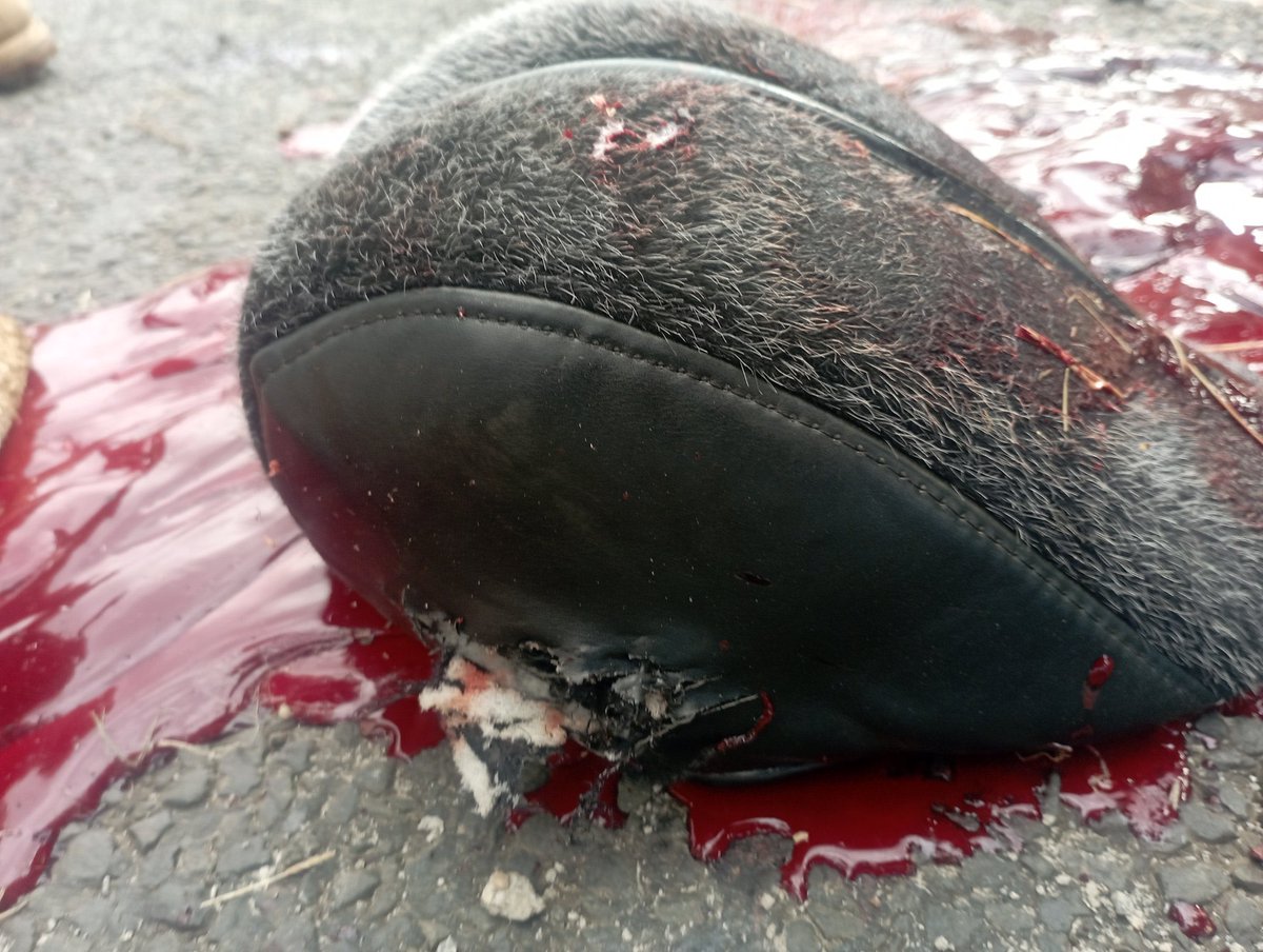 Just__Irene's tweet image. They're killing us. Headshot in Juja 😭😭😭😭. Press on to Statehouse and leave no one behind.
#SiriNiNumbers 
#OccupyStatehouse2025 
#RutoMustGoNow