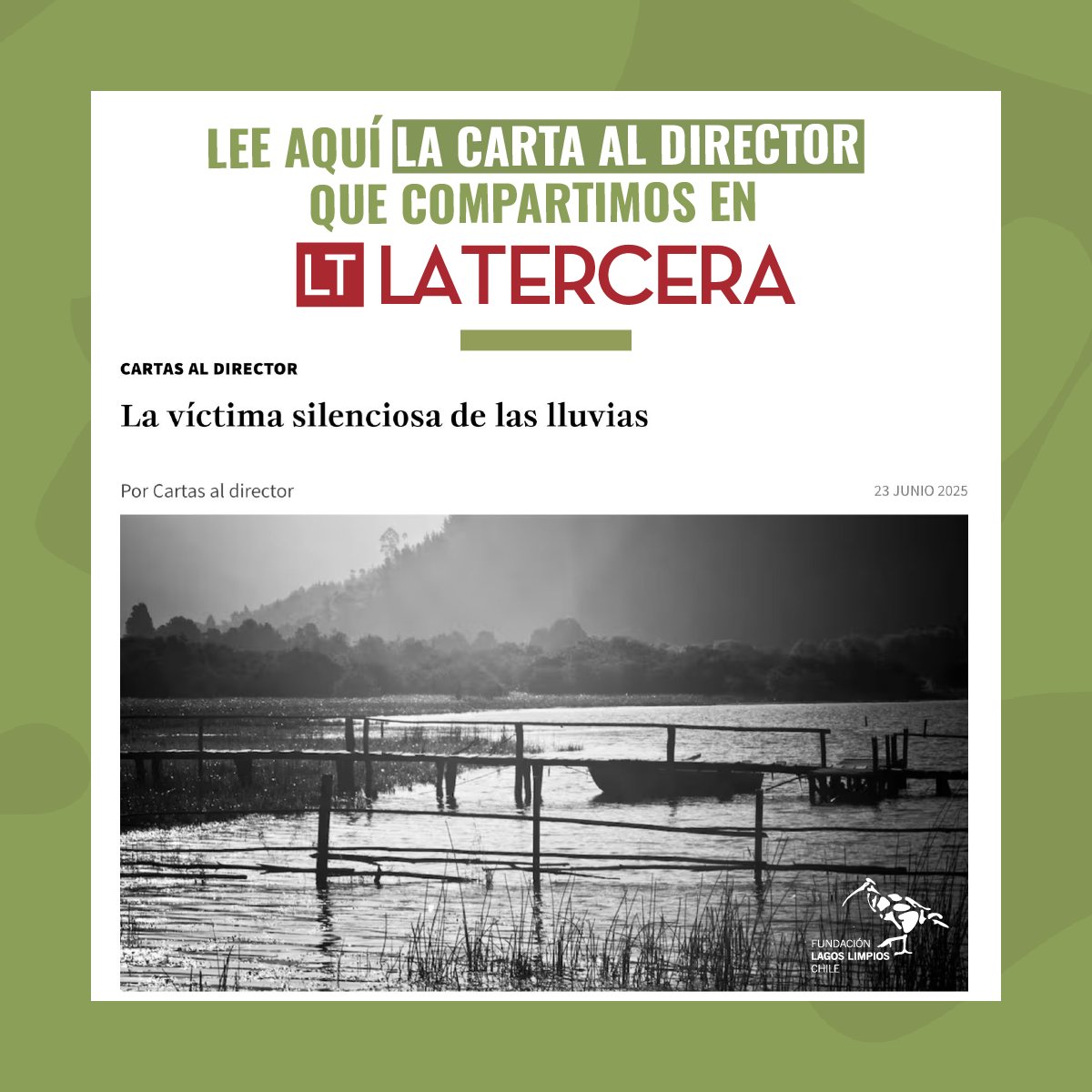 Chile Lagos Limpios tweet media