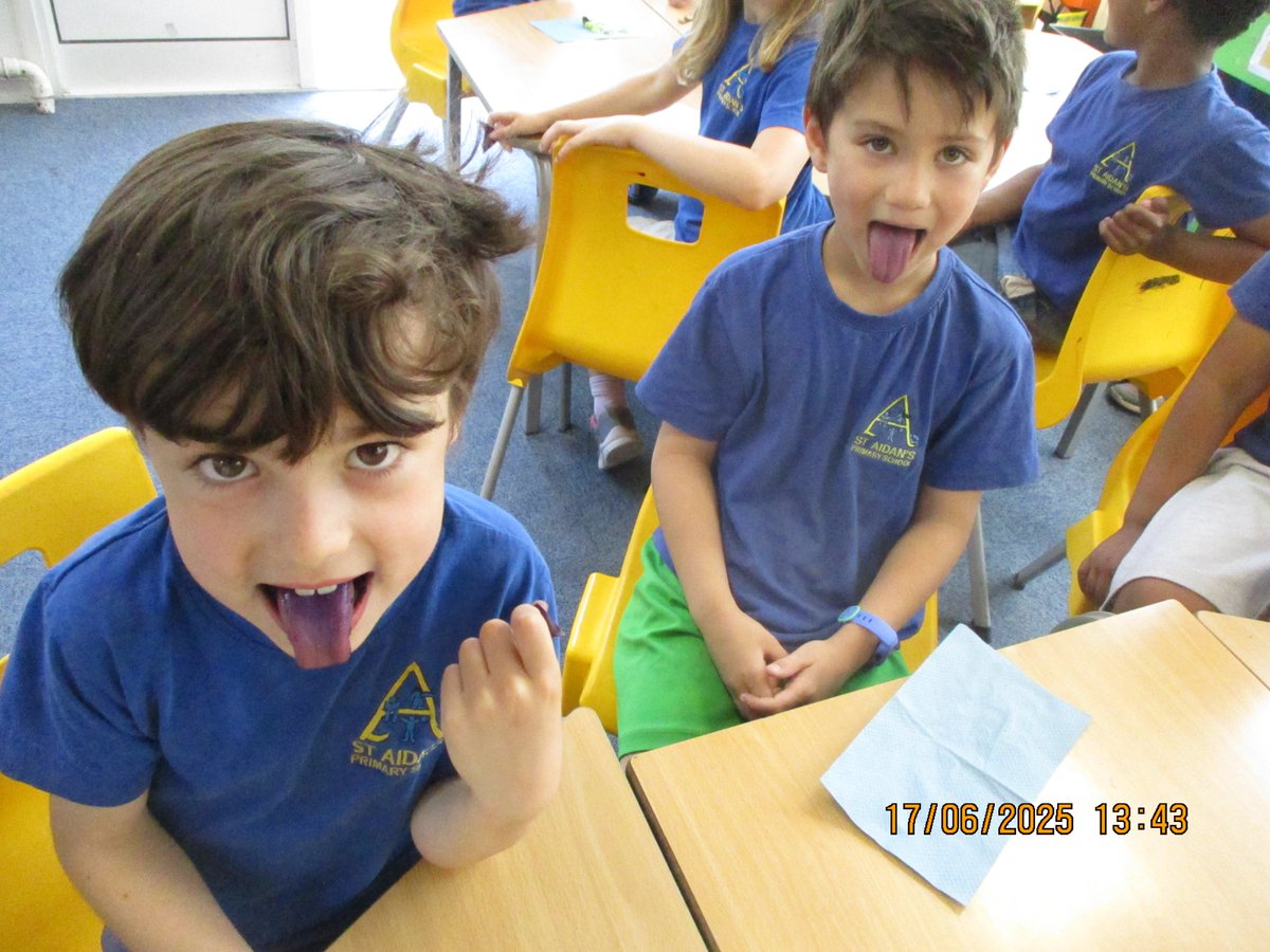 StAidansSchN4's tweet image. Yellow Class (Y2) loved exploring food in D&T with TastEd! 🍏 They used their senses to try apples, cabbages, and citrus fruits—Pink Lady apples were the favourite! They then used adjectives to describe each one. #TastEd #PrimaryDT