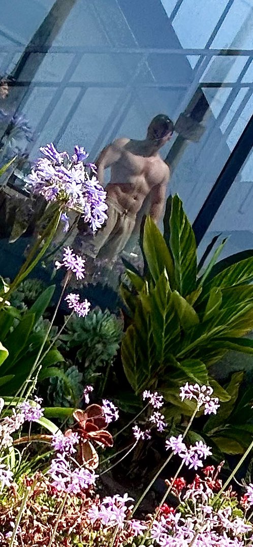 GA ~ Summer in Paradise begins 🥀🔥