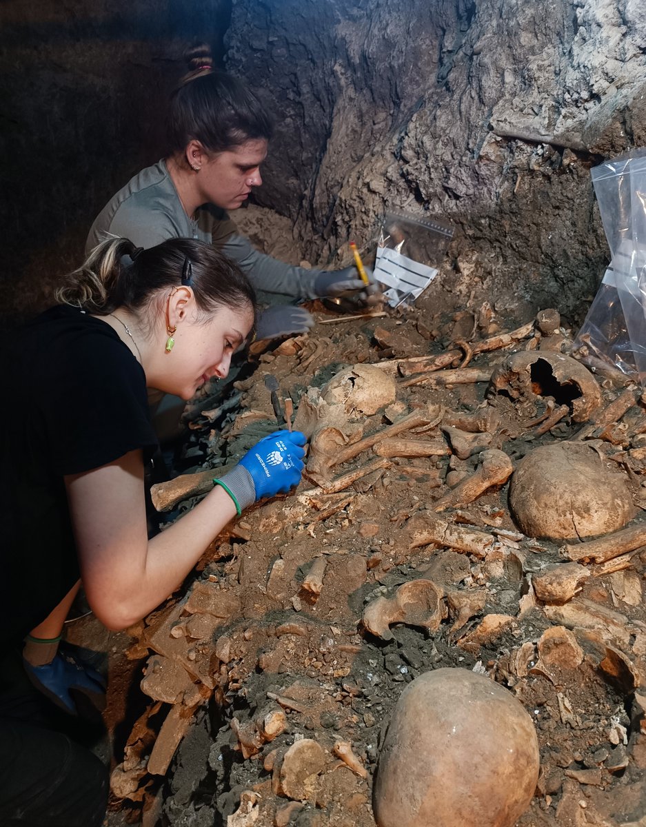 Maruqueso's tweet photo. Hemos retomado el estudio del osario que localizamos en 2023 en la Capilla de San Isidro de la Catedral de Palencia.
Con ayuda del Curso Internacional de Ostearqueología que organiza Aditu iniciamos el estudio de los restos que recuperamos y continuamos la excavación del osario https://t.co/mjCbHmyJjt