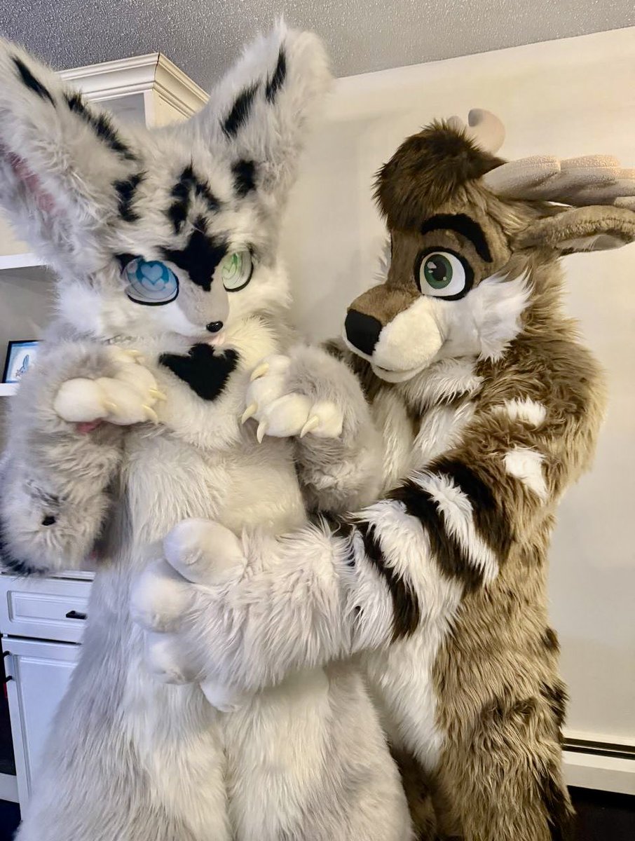 Everyone it’s national #hugadeer day! Don’t forget to hug your closest deer!

🐈: <a href="/KikuIsCat/">Kiku</a> 
📸: <a href="/kinterdeer/">Kinter 🌿</a>