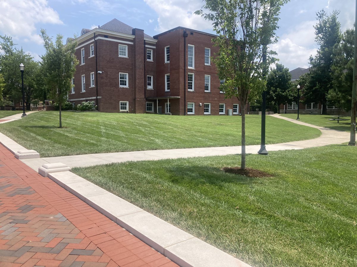 It’s hot outside but the grass looks cool !