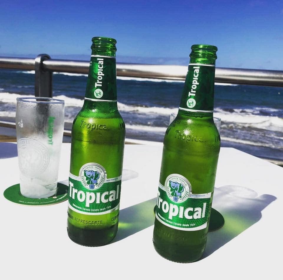 Mis lechugas sin raices…