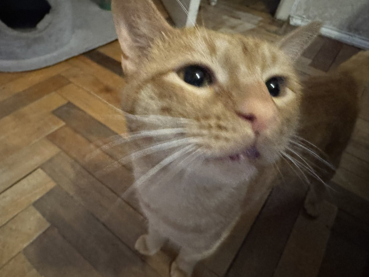 <a href="/vzrosly_content/">ВЗРОСЛЫЙ КОНТЕНТ</a> <a href="/PO5SbTWhuxoGeWr/">странствующий маг-барахольщик</a> <a href="/katzetuoi/">Angry Anna❤️‍🔥</a> <a href="/sir_sirena/">.</a> <a href="/sviatos/">директор БКЗ</a> <a href="/yapishukino/">J</a> <a href="/teacherrka/">котяпёсья феечка</a> <a href="/katyaetokto/">ДЕМШИЗА</a> Привет от Рыжика и вас понюхали ❤️‍🔥