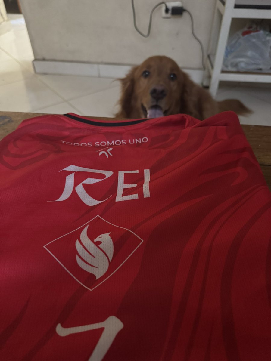 Gameday vs chivas.

Vamos a dar lo mejor :) #GOAB3