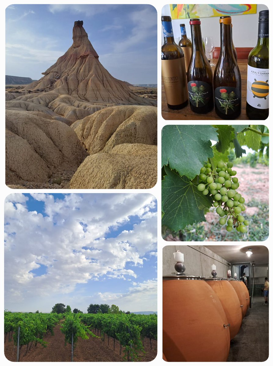vitisad's tweet photo. El 24-25 jun hemos celebrado la reunión presencial de #VITISAD2 en las instalaciones de #EVENA en #Olite #Navarra. Grandes anfitriones con los que hemos compartido momentos de trabajo y el descubrimiento de una bodega única como @azulygaranza y su #viñedo en Las #Bardenas https://t.co/9BESHQXFVV