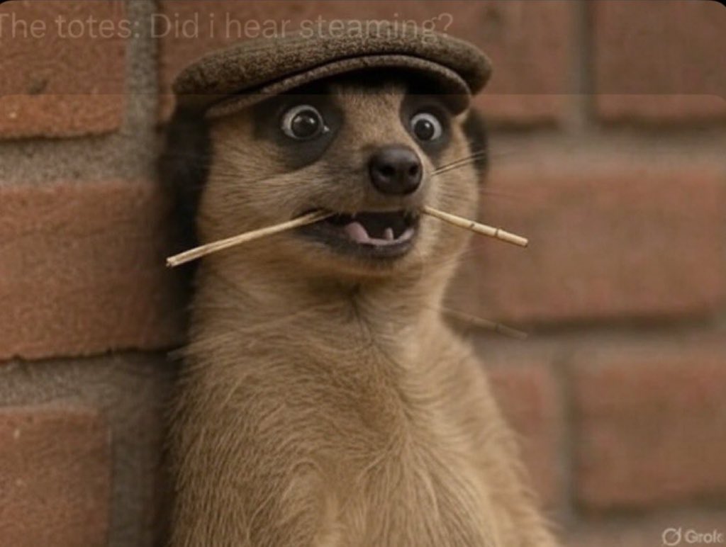 Jonath231's tweet image. The food will be served in alphabetical order.

Zambali👐