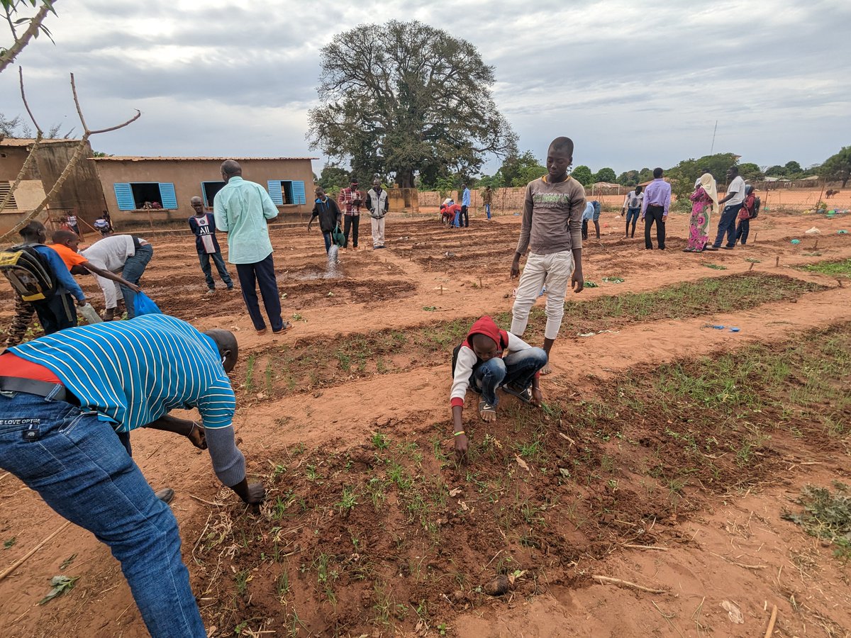 🇸🇳 La Ville poursuit sa coopération décentralisée avec Coubalan au Sénégal autour d’un nouveau projet : une pépinière municipale présentée par <a href="/VIsoird/">Valérie Isoird</a> en #ConseilCherbourg🌱 Obj. : soutenir l’agriculture familiale et la formation locale, avec un cofinancement franco-sénégalais.