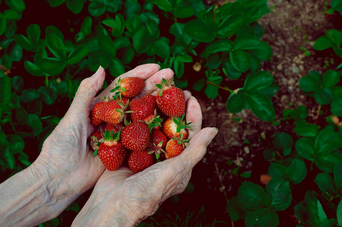 Rebecca Lindberg tweet media