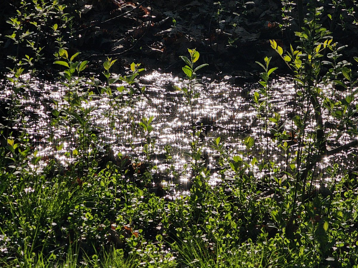 fullbloomdotfun's tweet image. #photography