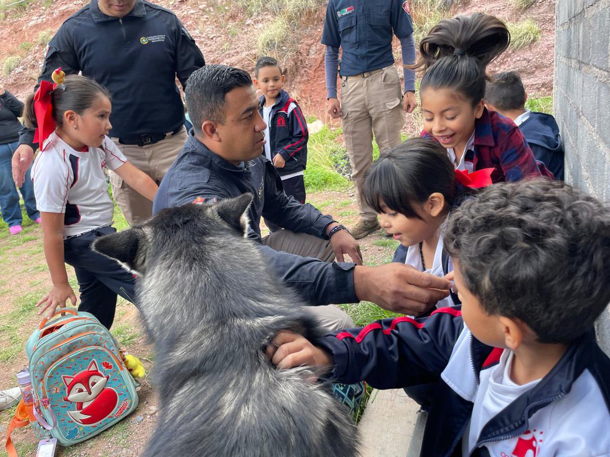 👧👦 Niñas y niños de un jardín de niños visitaron la base de #Bomberos del Estado, donde participaron en prácticas con mangueras y simulacro de búsqueda y rescate. 🚒
Fomentamos la cultura de la prevención desde la infancia para su seguridad y bienestar. 🧯