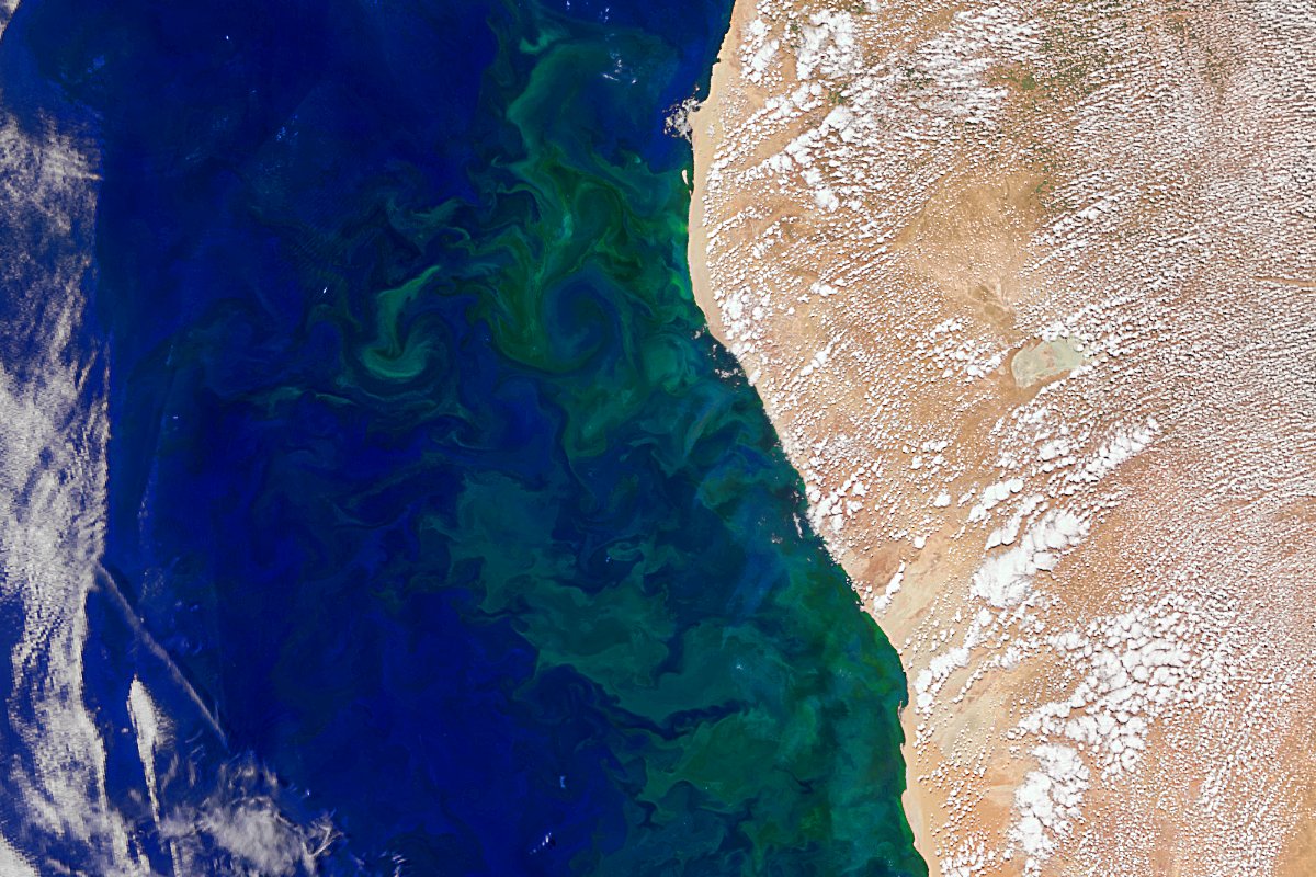 NASAOcean (@nasaocean) on Twitter photo It's time to say goodbye.
Thanks for commenting, liking and sharing. At the end of the month, this page will deactivate and move over to the <a href="/NASAEarth/">NASA Earth</a> page. It's time to say goodbye.
Thanks for commenting, liking and sharing. At the end of the month, this page will deactivate and move over to the <a href="/NASAEarth/">NASA Earth</a> page.