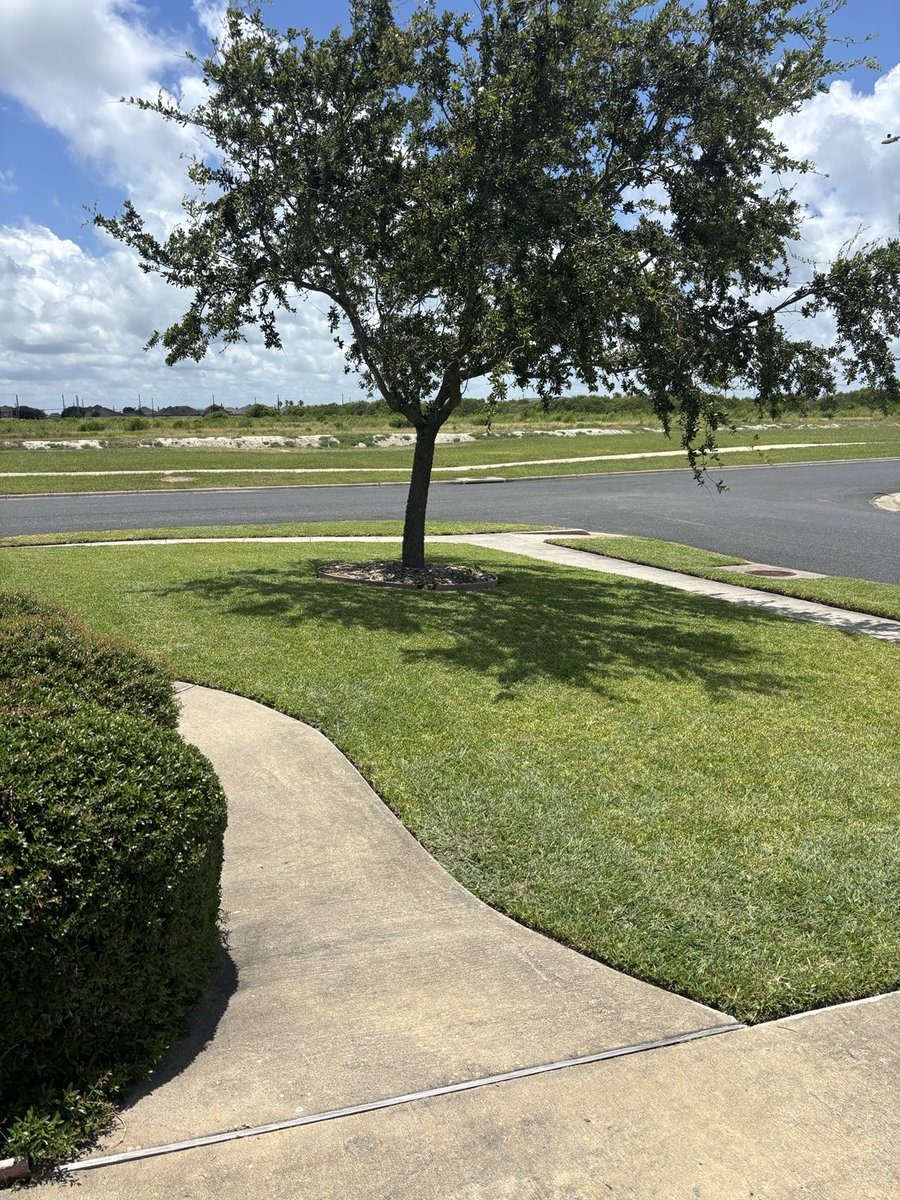 Knocked one out today. Got room for maybe one more client. Hit me up if you need some edges like this