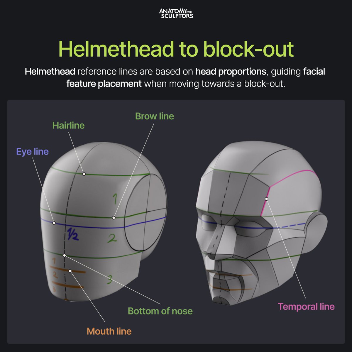 Unlock key head landmarks through proportions. First, remove the top sixth (crown to hairline) to isolate the face. Divide the rest into thirds: hairline to brow, brow to nose, nose to chin. (1/2)