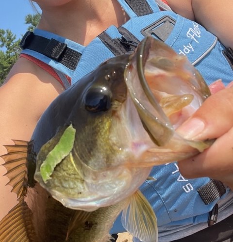 🎣 Family Fishing Week is on!
📅 June 28 – July 6
Explore the beauty of Kawartha Highlands Provincial Park and cast a line—no license needed all week! 🐟
Perfect for families to connect with nature and each other.
#FamilyFishingWeek #OntarioParks #KawarthaHighlands #FishingFun