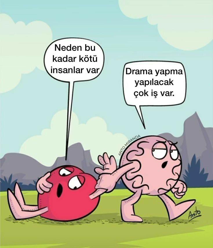 akıl ve kalp arasında (@hearttbrain) on Twitter photo 