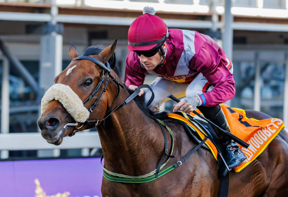 Dean Kannemeyer Racing (@racekannemeyer) on Twitter photo Gurkha’s second win & first attempt @ the 2000m on the poly <a href="/Hollywoodbets/">Hollywoodbets</a> Greyville.
<a href="/craig_zackey/">Craig Zackey</a> rode skilfully, allowing him to finish strong.
Congratulations to Fieldspring Racing & Greenacres Trust, & Breeders Wilgerbosdrift & Mauritzfontein.
Wonderful job team! Gurkha’s second win & first attempt @ the 2000m on the poly <a href="/Hollywoodbets/">Hollywoodbets</a> Greyville.
<a href="/craig_zackey/">Craig Zackey</a> rode skilfully, allowing him to finish strong.
Congratulations to Fieldspring Racing & Greenacres Trust, & Breeders Wilgerbosdrift & Mauritzfontein.
Wonderful job team!