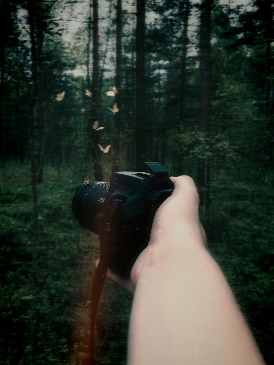 I will not die 
I will survive