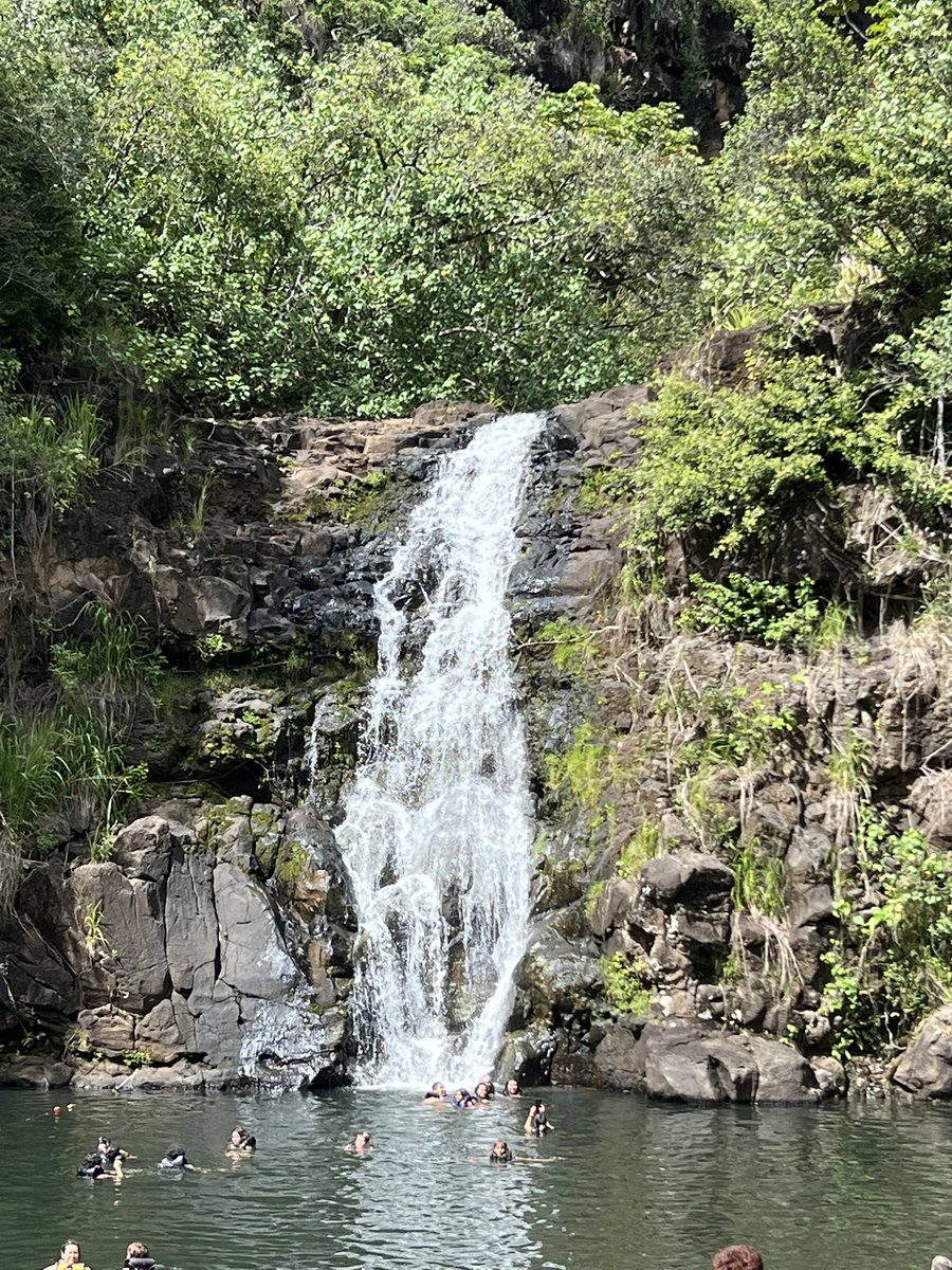 Pearl Harbor, feral chickens, rainbows, farm tours, beaches, chickens, 1 dead body, botanical gardens, chickens, waterfalls, chickens, lava flows, walking tours, hikes, chickens, King Kamehameha Parade just to name a few of our Hawaii adventures.