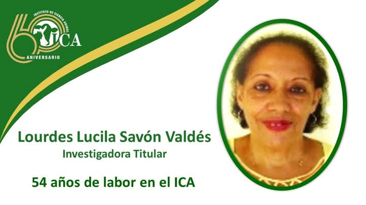 JORNADA ANIVERSARIO 60 DEL INSTITUTO DE CIENCIA ANIMAL
En el año del Aniversario 60 del ICA, les invitamos a conocer a trabajadores que han dedicado gran parte de su vida a laborar en nuestro centro y aún continúan aportando.
#Cuba #ICACuba #ICA60Años