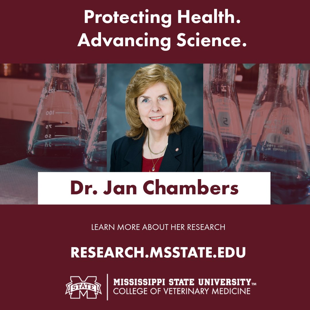 Maroon Research tweet media