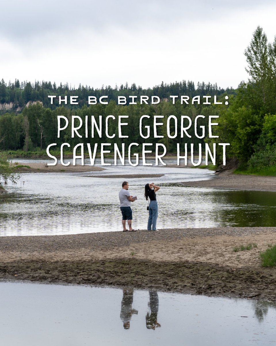 The BC Bird Trail tweet media