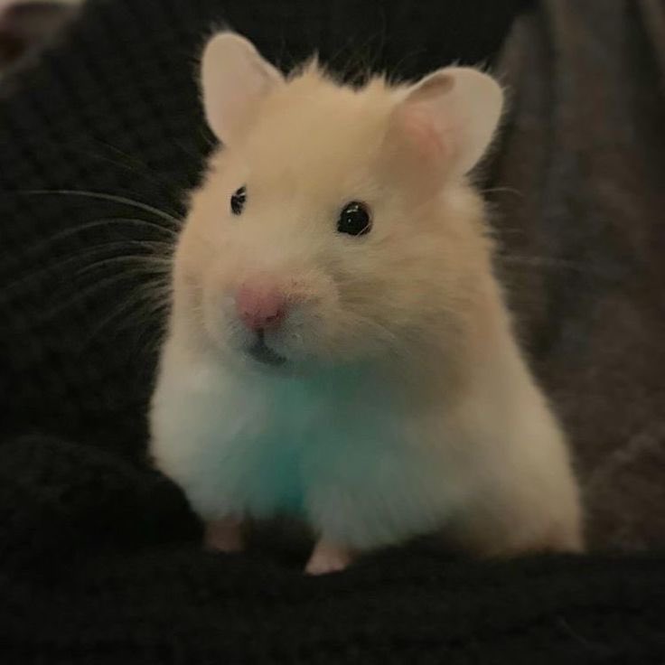 MY 21 BIRTHDAY VLOG IS OUT 
youtu.be/w4rBbt3W5Q8?si…