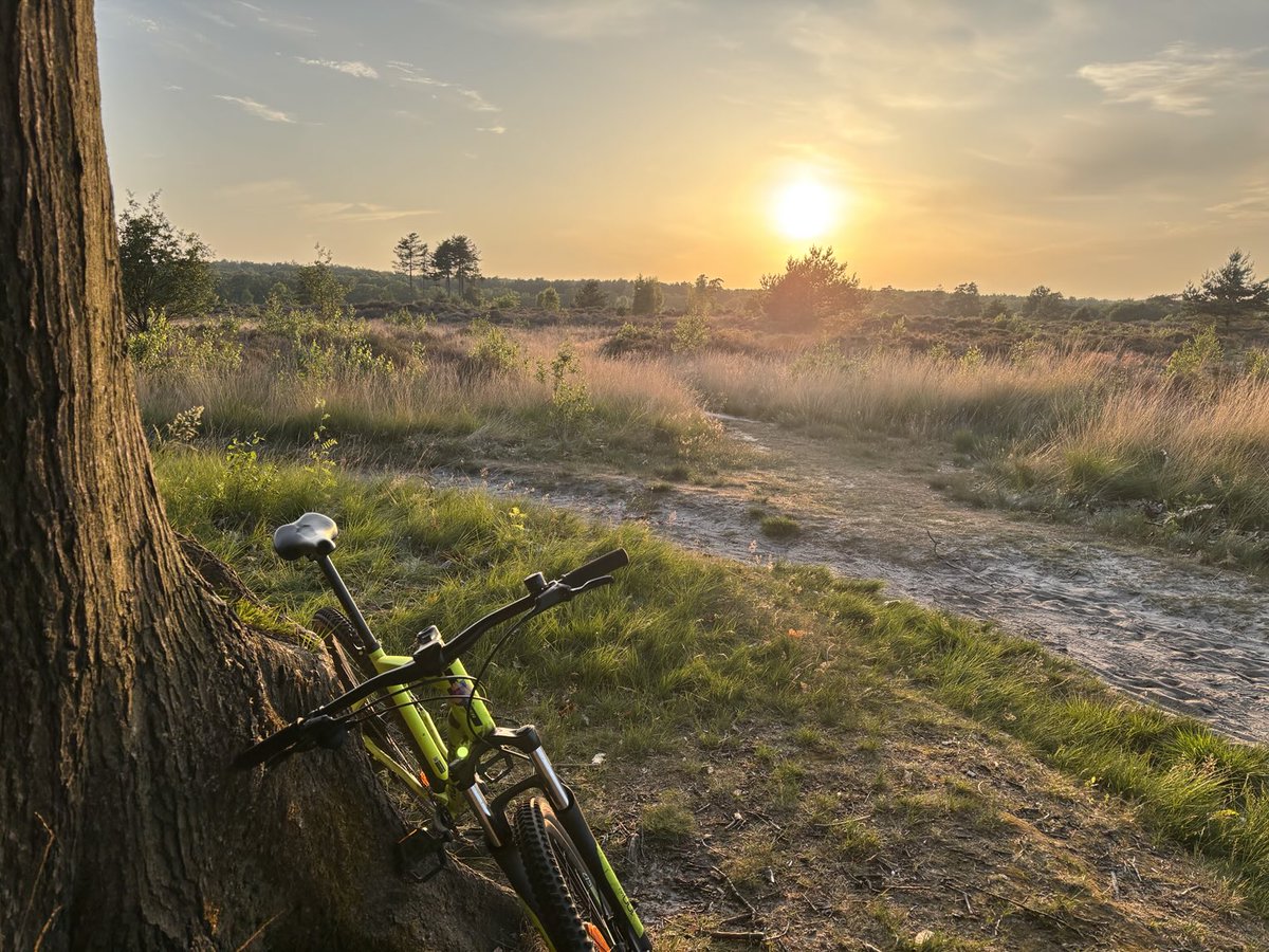 Olger van Dijk (@olgervandijk) on Twitter photo Niets mooier dan late avondzon op landgoed Den Treek! Geen wolf te zien gelukkig. Eens met <a href="/POTUS/">President Donald J. Trump</a> : Nederland is een fantastisch land! … met een paar aandachtspunten, dat wel. #dentreek #leusden Niets mooier dan late avondzon op landgoed Den Treek! Geen wolf te zien gelukkig. Eens met <a href="/POTUS/">President Donald J. Trump</a> : Nederland is een fantastisch land! … met een paar aandachtspunten, dat wel. #dentreek #leusden