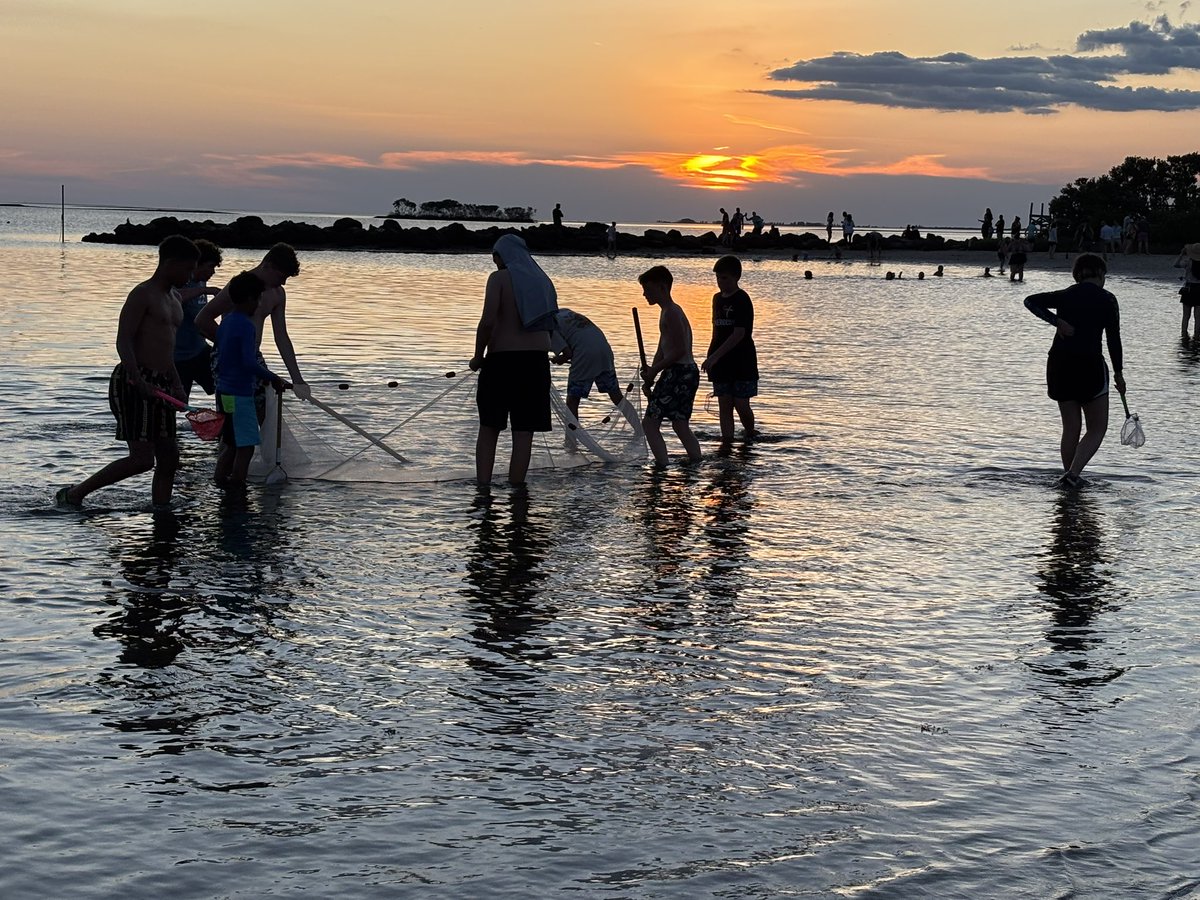 LMMS travel club spent the day at King’s Bay in Crystal River swimming with manatees and kayaking.  We finished the evening at Fort Island Beach discovering creatures in an aquatic ecosystem!