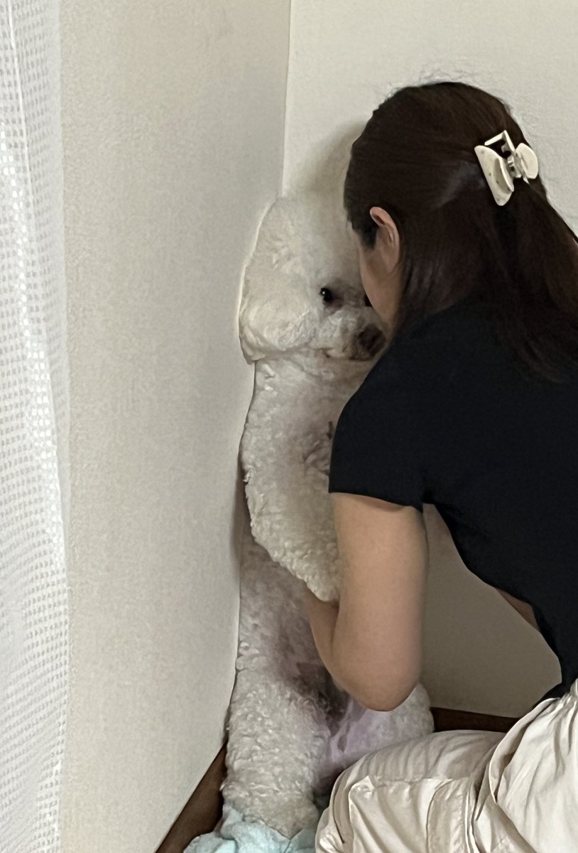 妹に詰められてた