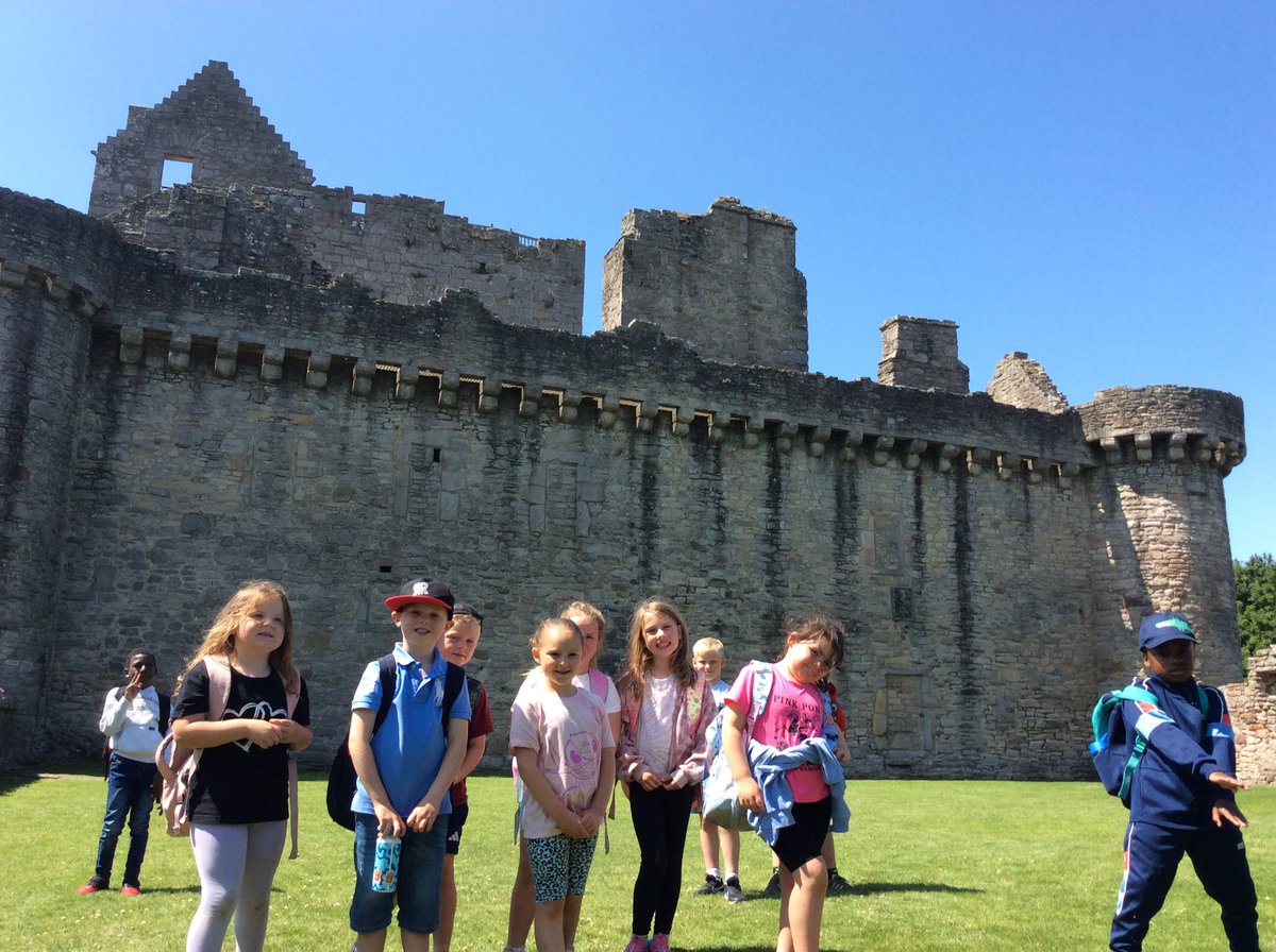 Letham Mains Primary School tweet media