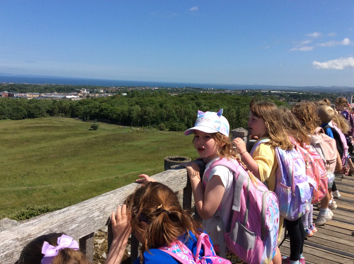 Letham Mains Primary School tweet media