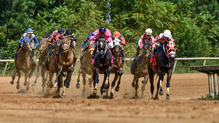 Racebook (@bcracebook) on Twitter photo CARRYOVERS Wed June 25th <a href="/BCRacebook/">Racebook</a> <a href="/HPIbet/">HPIbet</a> #watchwagerwin
Pick-6▪️ $1,302,267.28 <a href="/ChurchillDowns/">Churchill Downs</a>
Starts Race #4
Pick-5▪️ $219,369.46 <a href="/AssiniboiaDowns/">Assiniboia Downs</a>
Starts Race #3
✅ Download the HPIbet App or visit hpibet.com for a full list of daily carryovers CARRYOVERS Wed June 25th <a href="/BCRacebook/">Racebook</a> <a href="/HPIbet/">HPIbet</a> #watchwagerwin
Pick-6▪️ $1,302,267.28 <a href="/ChurchillDowns/">Churchill Downs</a>
Starts Race #4
Pick-5▪️ $219,369.46 <a href="/AssiniboiaDowns/">Assiniboia Downs</a>
Starts Race #3
✅ Download the HPIbet App or visit hpibet.com for a full list of daily carryovers