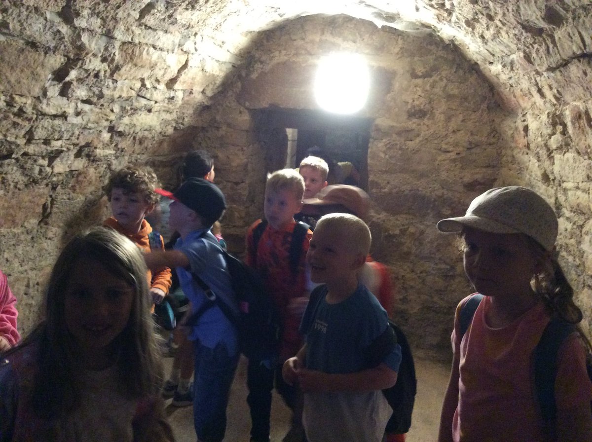 Letham Mains Primary School tweet media