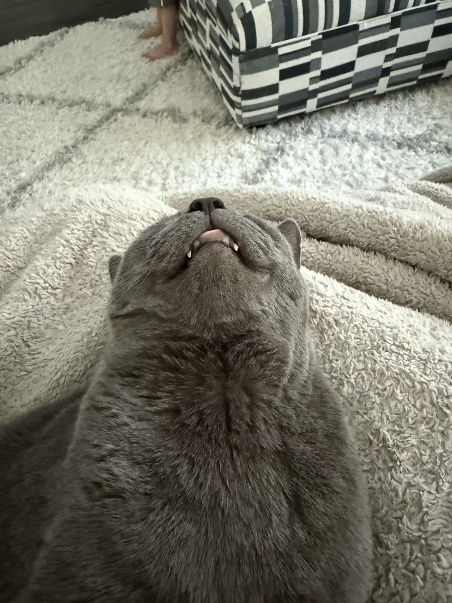 Chrysta 🦋 tweet media