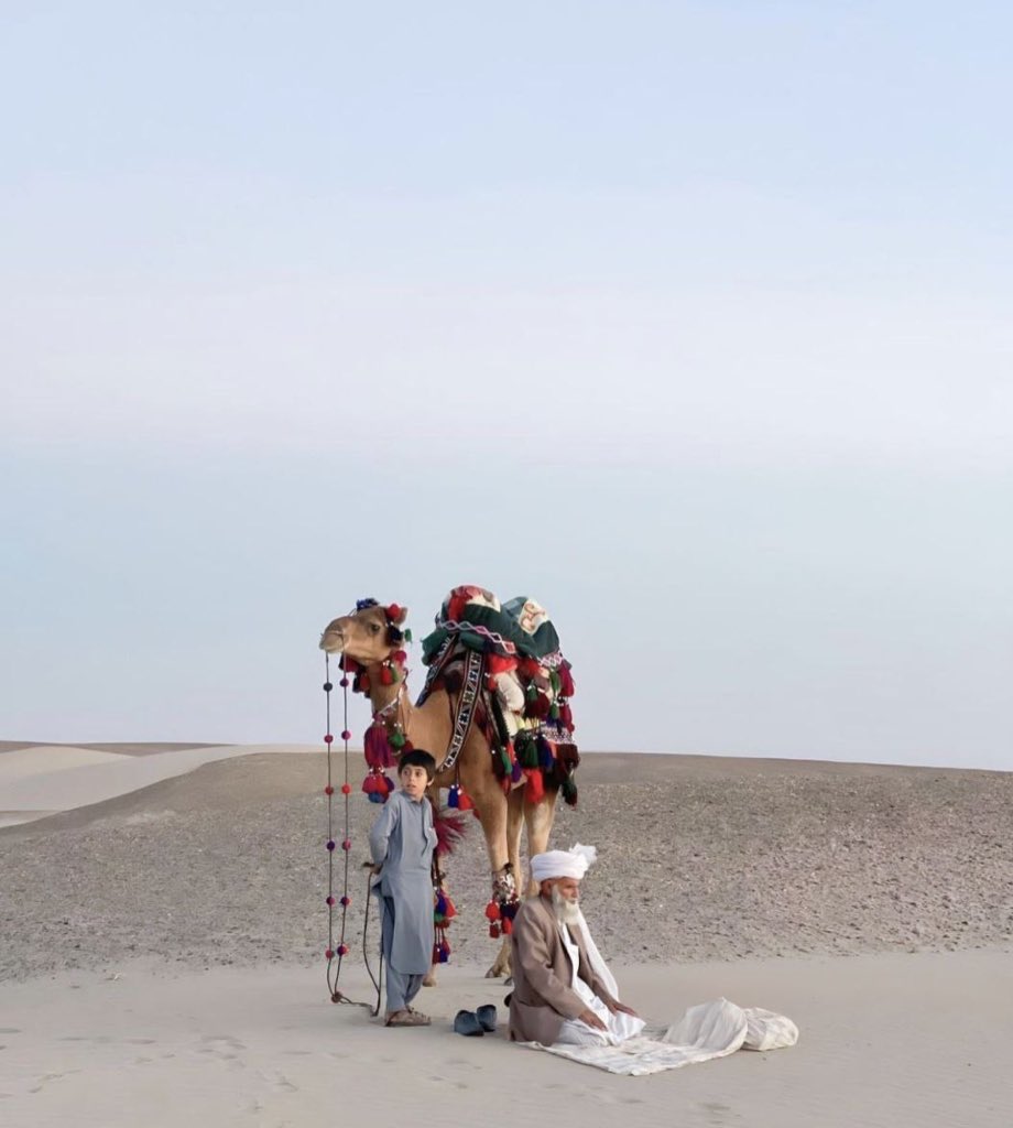 جز وصل تو، دل به هر چه بستم!
توبه 

#سکون