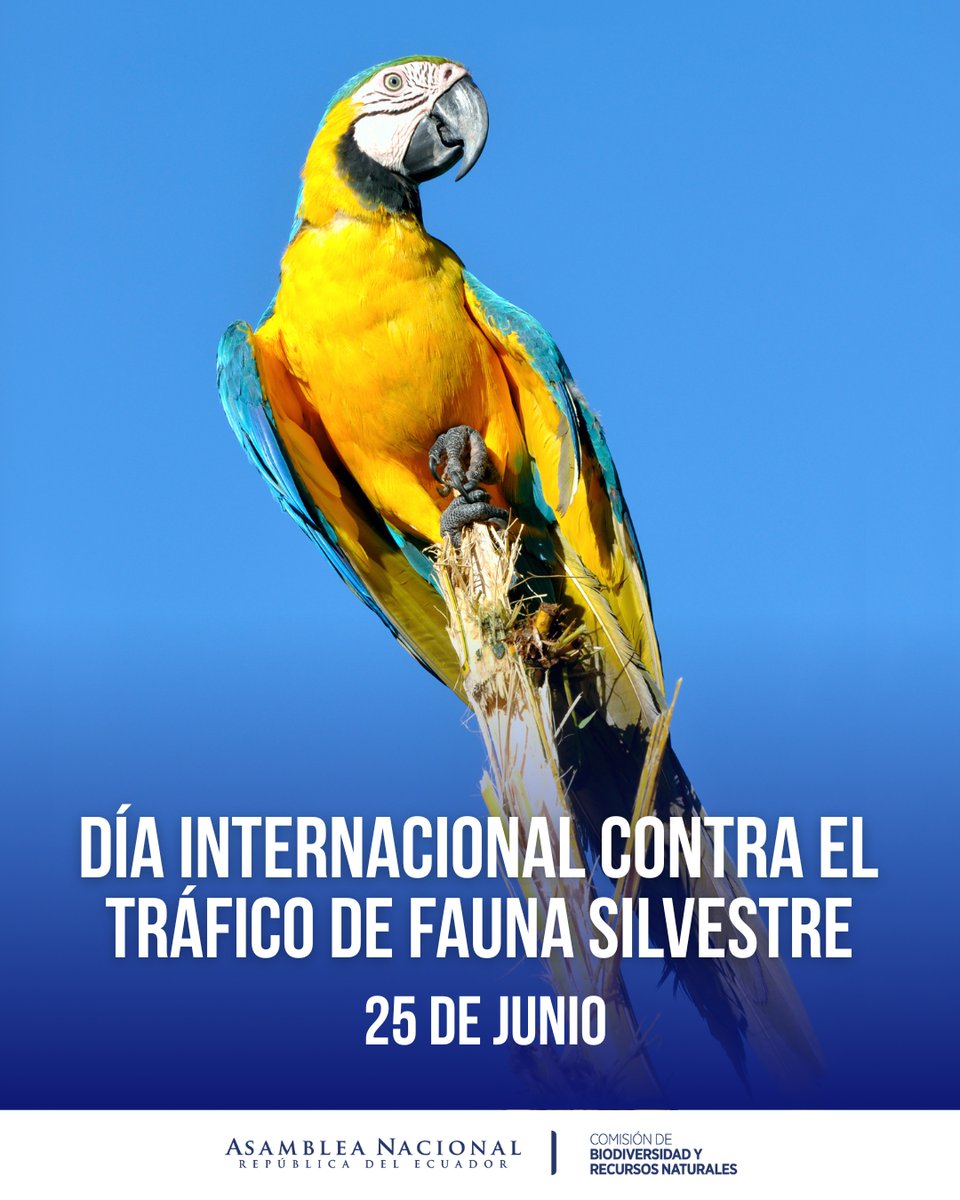 Día Internacional contra el Tráfico de Fauna Silvestre
Desde la Comisión de Biodiversidad y Recursos Naturales, hacemos un llamado a la ciudadanía para rechazar esta práctica y respetar la vida silvestre.
Proteger la fauna silvestre es proteger la vida. #ProtegeLaFaunaSilvestre