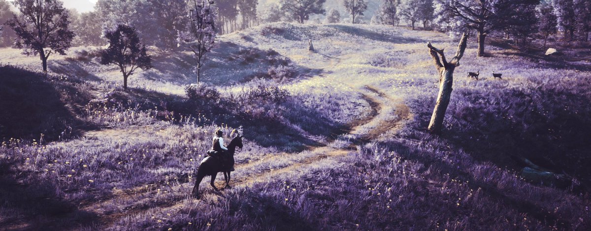 JRakhaan_'s tweet photo. #RedDeadRedemption2 #VirtualPhotography https://t.co/045gHfnm65