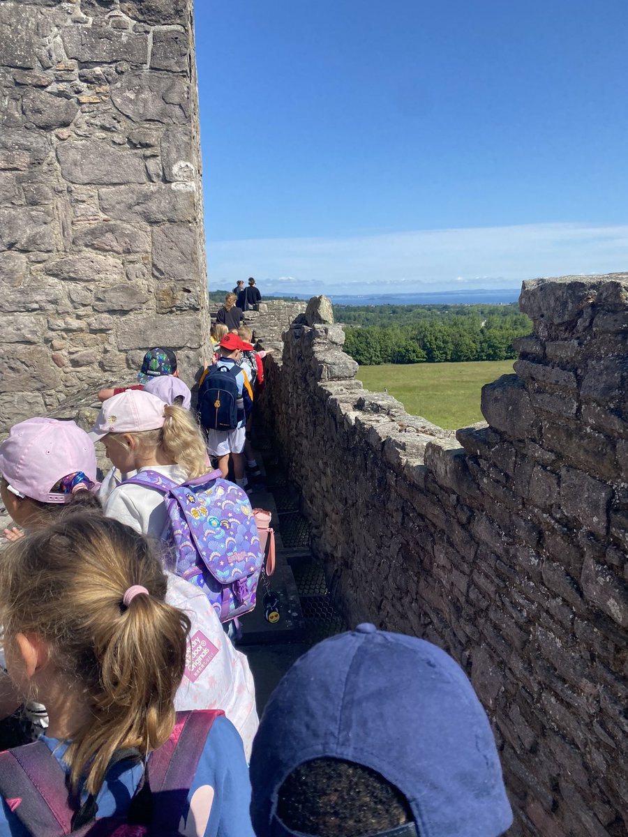 Letham Mains Primary School tweet media